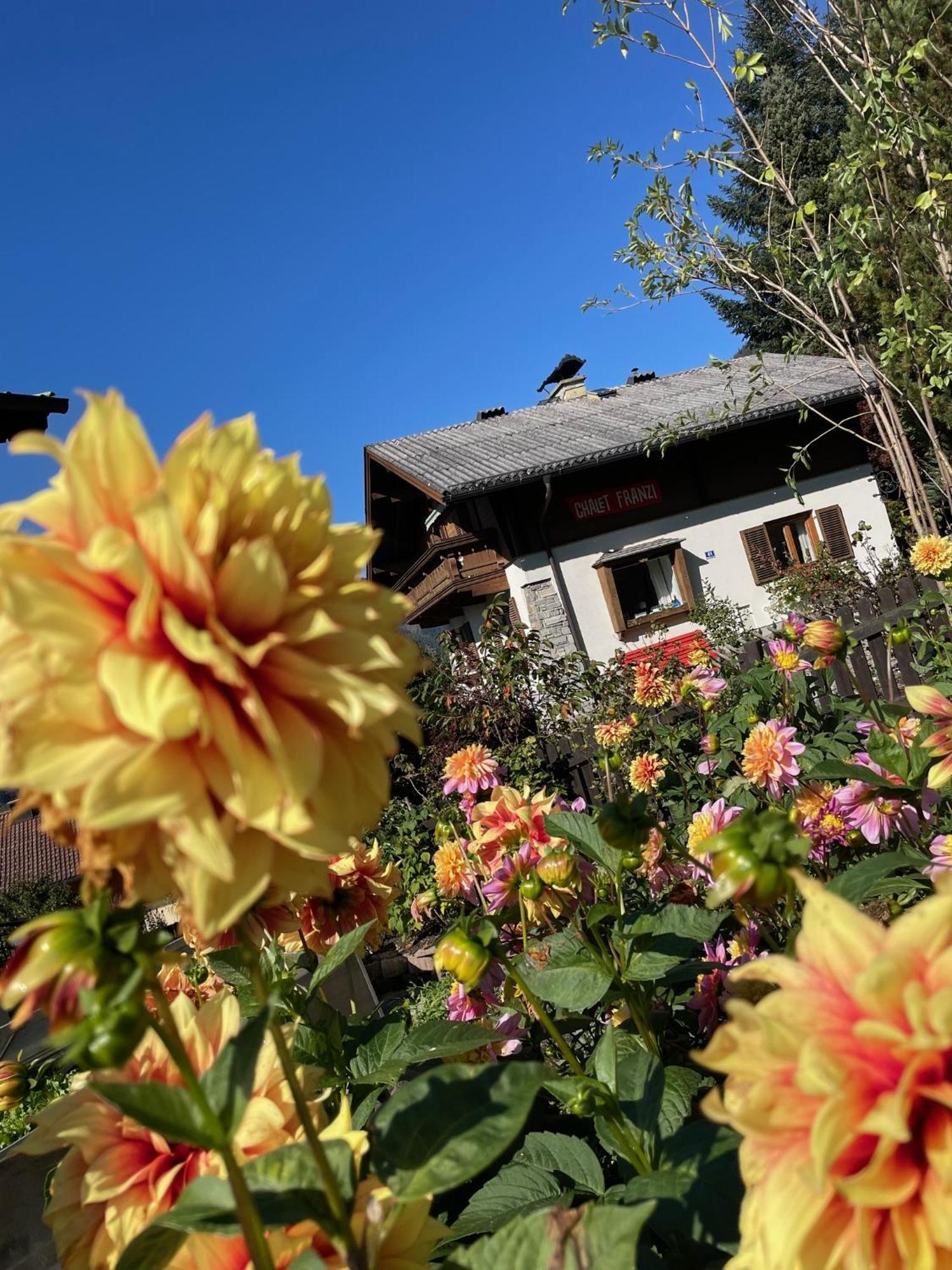 Chalet Franzi Dorfgastein Exterior foto